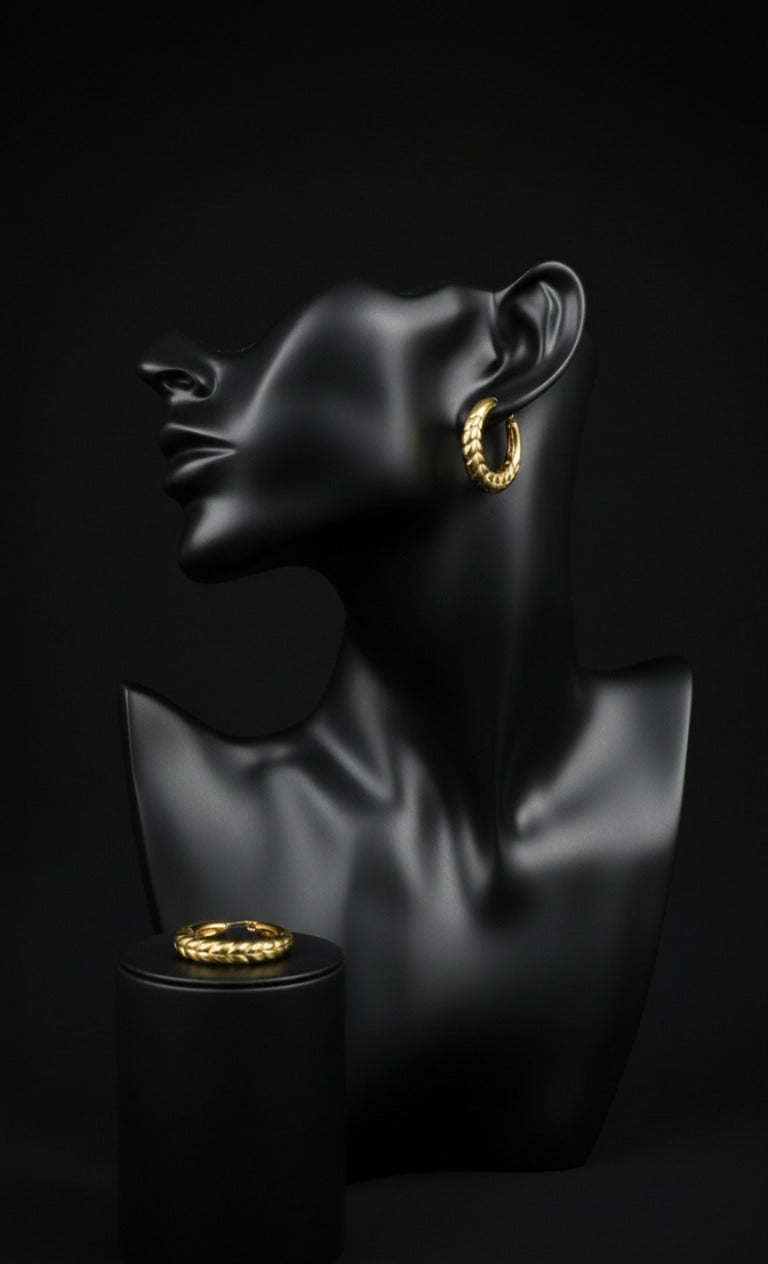 Complete Circle Earring