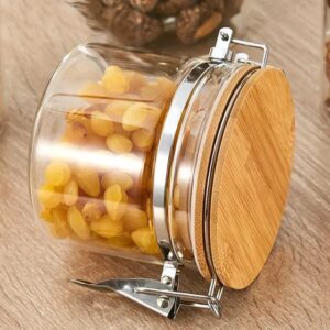 Glass Jar with lock-600 ml